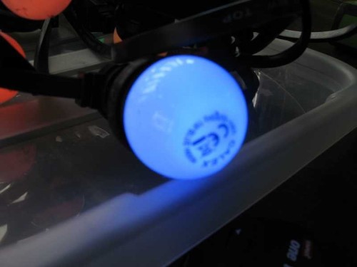 Feestverlichting kleur 15 m